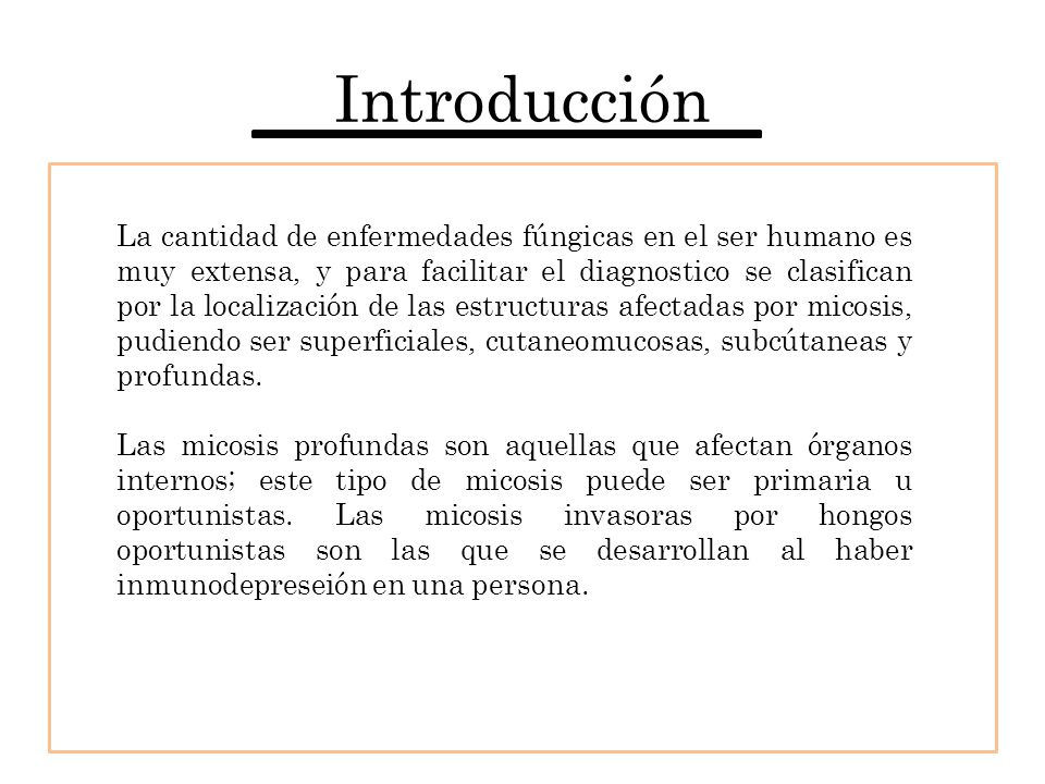 Introducción