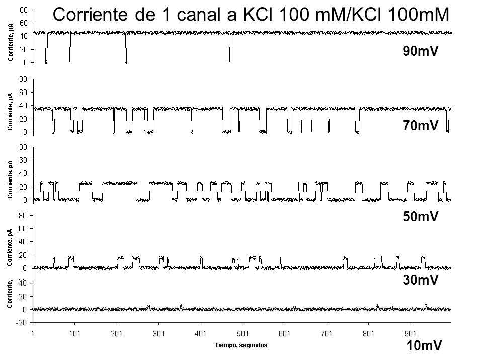 Corriente de 1 canal a KCl 100 mM/KCl 100mM