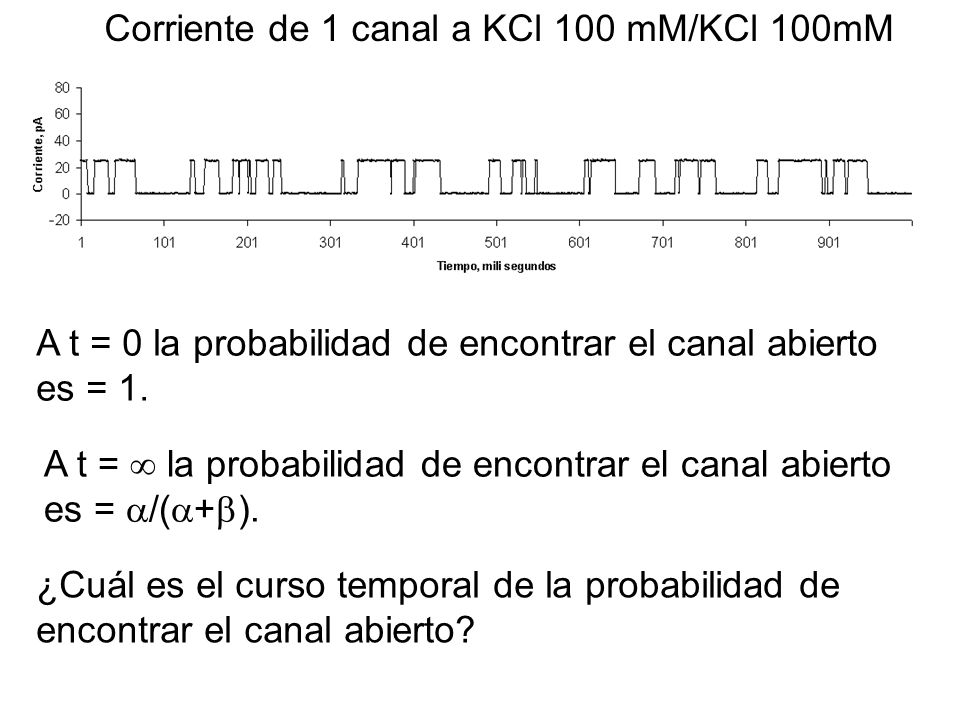 Corriente de 1 canal a KCl 100 mM/KCl 100mM