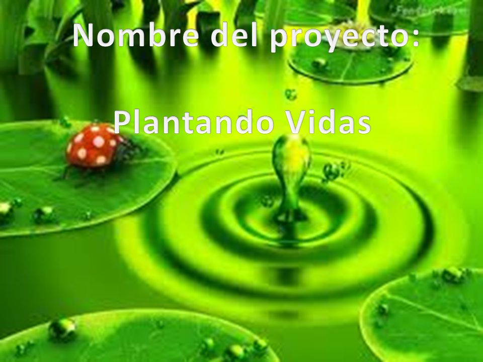 Nombre del proyecto: Plantando Vidas