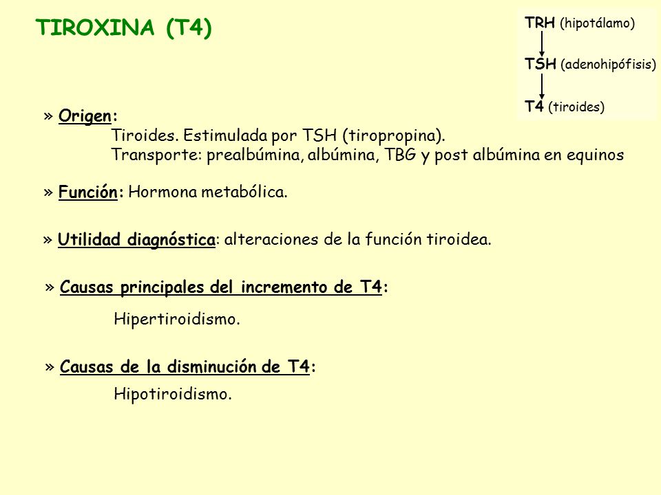 TIROXINA (T4) » Origen: Tiroides. Estimulada por TSH (tiropropina).