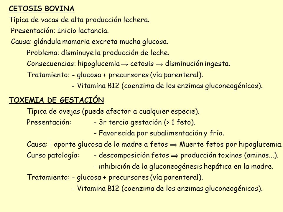 CETOSIS BOVINA Típica de vacas de alta producción lechera. Presentación: Inicio lactancia. Causa: glándula mamaria excreta mucha glucosa.
