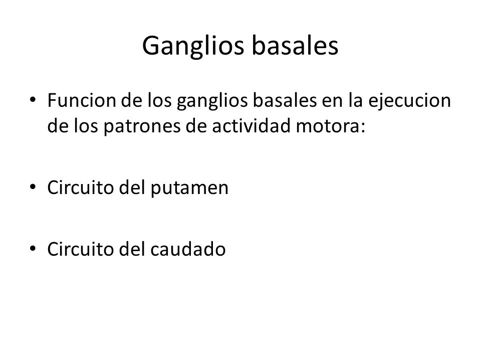 Ganglios basales Funcion de los ganglios basales en la ejecucion de los patrones de actividad motora: