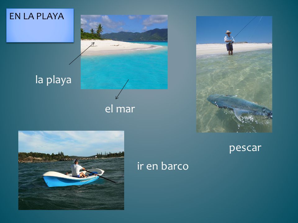 En la playa la playa el mar pescar ir en barco