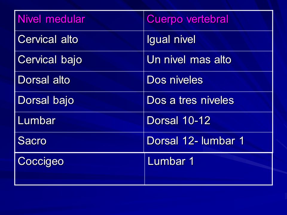 Nivel medular Cuerpo vertebral. Cervical alto. Igual nivel. Cervical bajo. Un nivel mas alto. Dorsal alto.