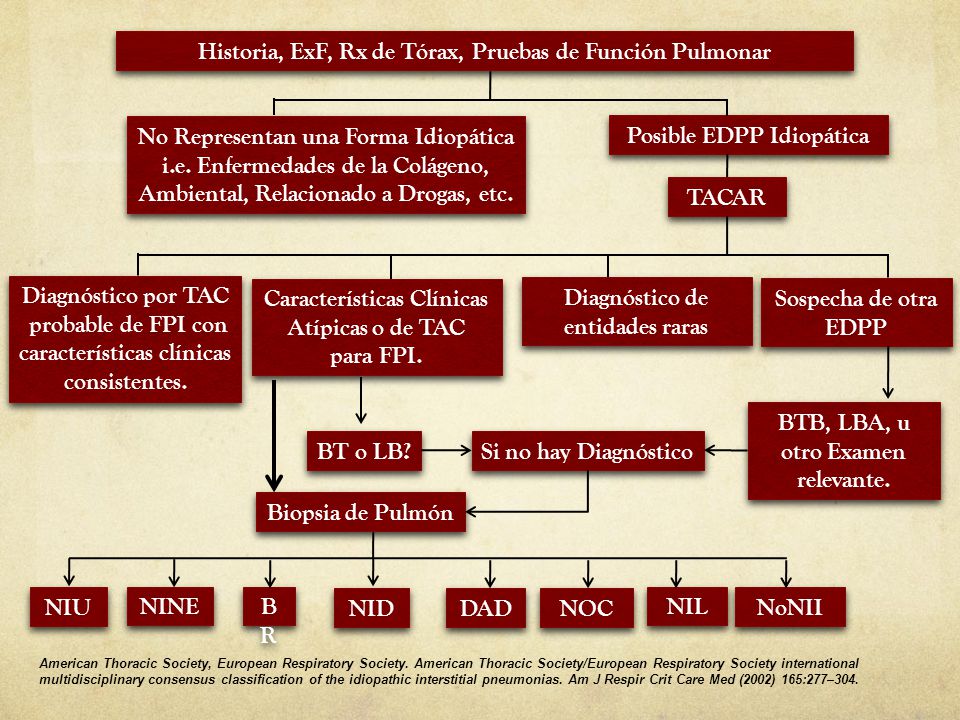 Historia, ExF, Rx de Tórax, Pruebas de Función Pulmonar