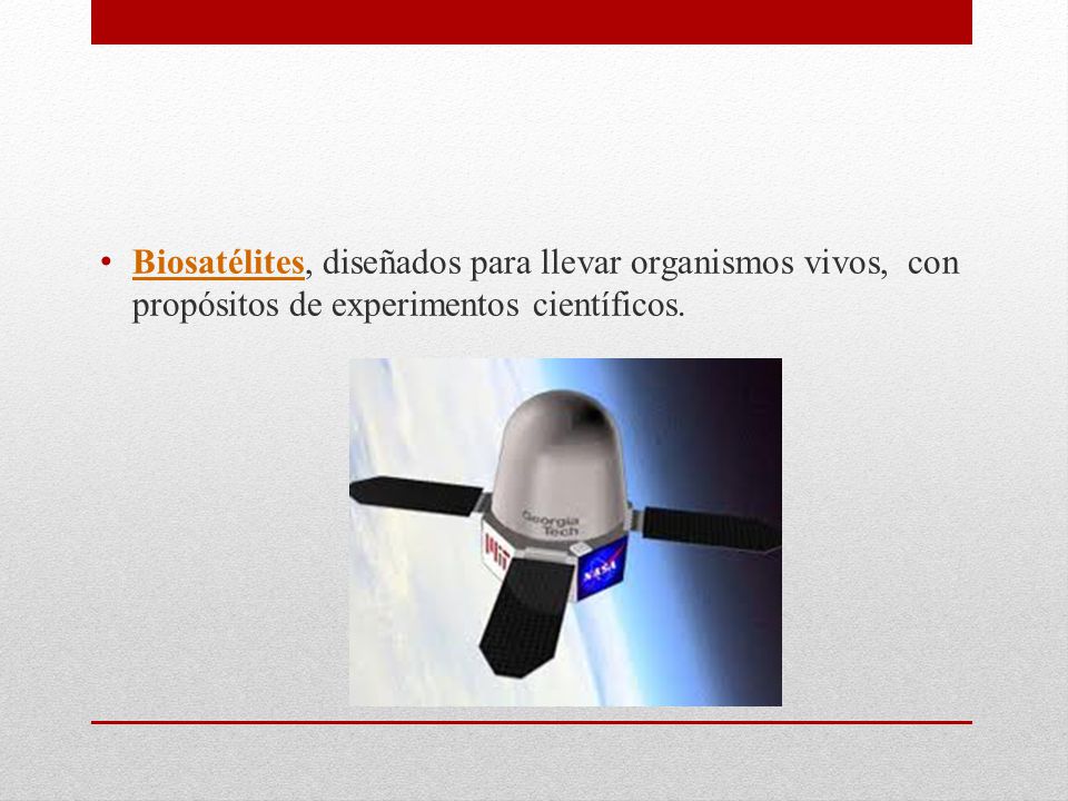 Biosatélites, diseñados para llevar organismos vivos, con propósitos de experimentos científicos.