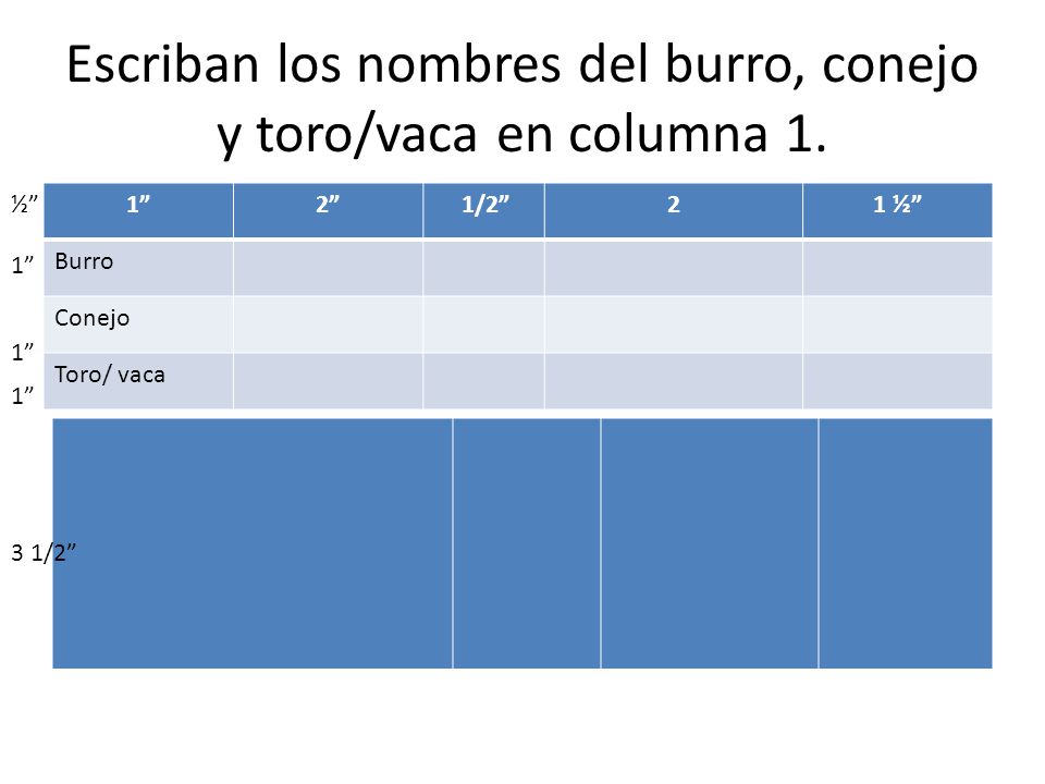 Escriban los nombres del burro, conejo y toro/vaca en columna 1.