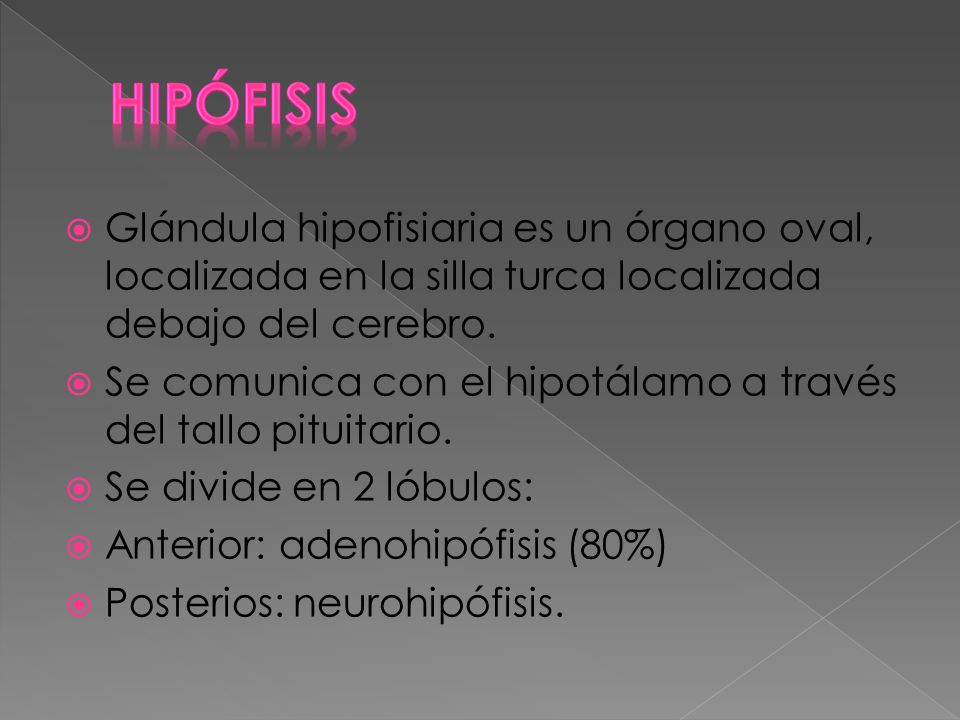 HIPÓFISIS Glándula hipofisiaria es un órgano oval, localizada en la silla turca localizada debajo del cerebro.