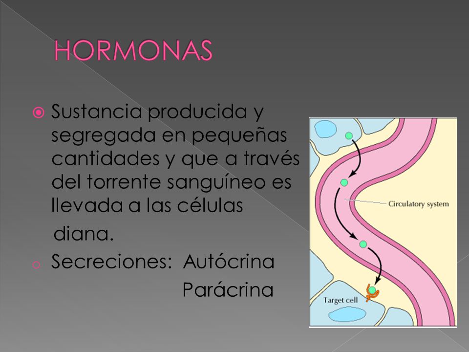 HORMONAS Sustancia producida y segregada en pequeñas cantidades y que a través del torrente sanguíneo es llevada a las células.