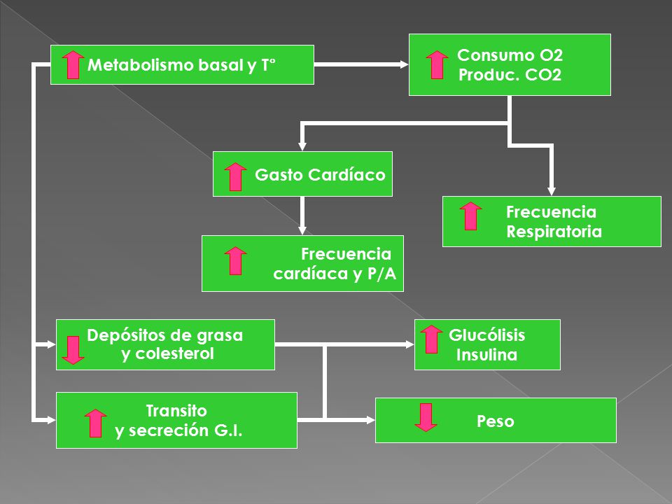 Consumo O2 Produc. CO2. Metabolismo basal y T° Gasto Cardíaco. Frecuencia. Respiratoria. Frecuencia.