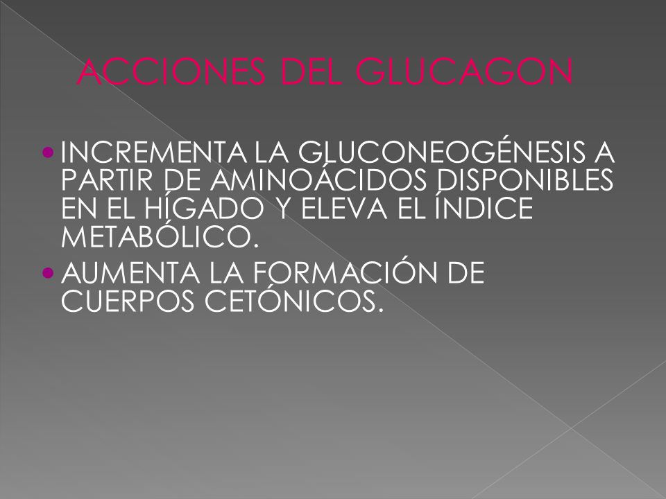ACCIONES DEL GLUCAGON INCREMENTA LA GLUCONEOGÉNESIS A PARTIR DE AMINOÁCIDOS DISPONIBLES EN EL HÍGADO Y ELEVA EL ÍNDICE METABÓLICO.