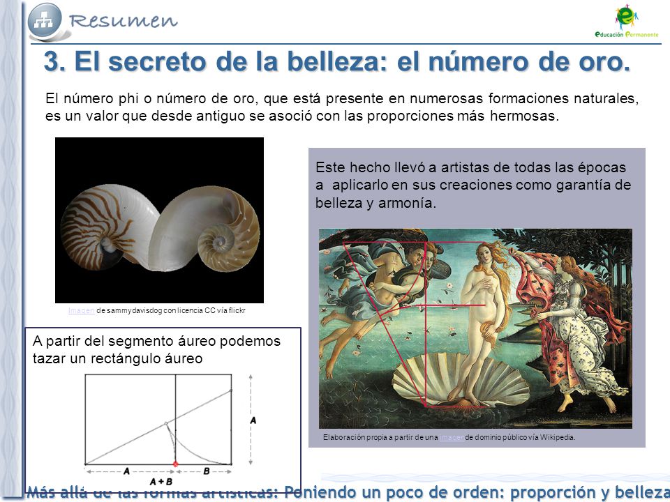 3. El secreto de la belleza: el número de oro.