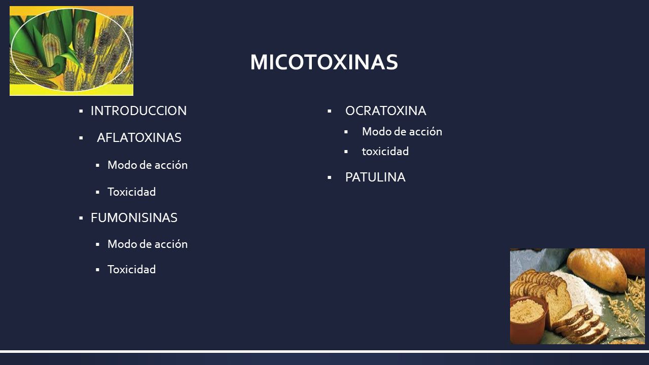 MICOTOXINAS INTRODUCCION OCRATOXINA AFLATOXINAS PATULINA FUMONISINAS