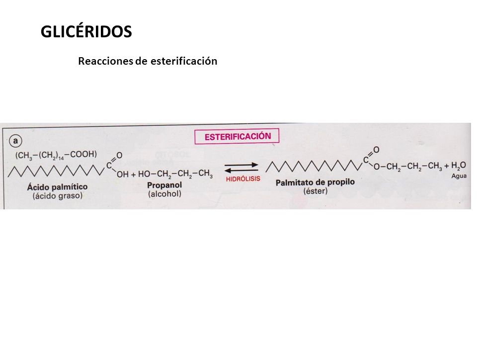 GLICÉRIDOS Reacciones de esterificación
