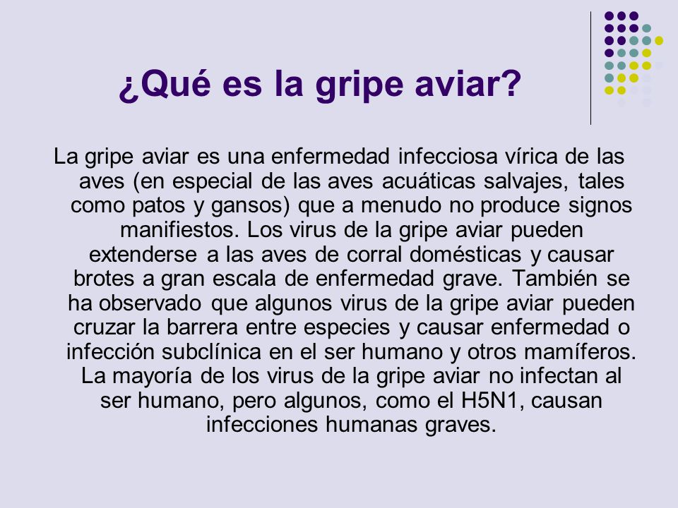 ¿Qué es la gripe aviar
