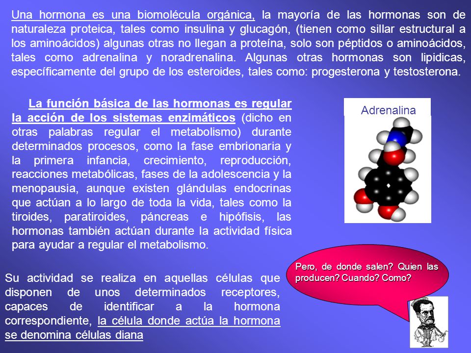 Una hormona es una biomolécula orgánica, la mayoría de las hormonas son de naturaleza proteica, tales como insulina y glucagón, (tienen como sillar estructural a los aminoácidos) algunas otras no llegan a proteína, solo son péptidos o aminoácidos, tales como adrenalina y noradrenalina. Algunas otras hormonas son lipidicas, específicamente del grupo de los esteroides, tales como: progesterona y testosterona.