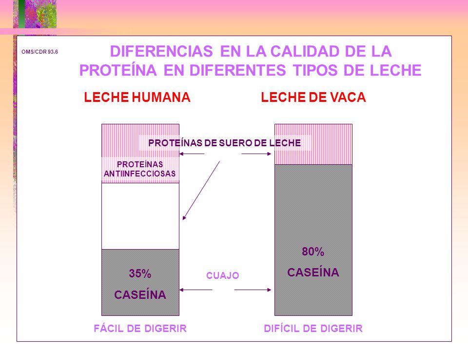 DIFERENCIAS EN LA CALIDAD DE LA PROTEÍNA EN DIFERENTES TIPOS DE LECHE