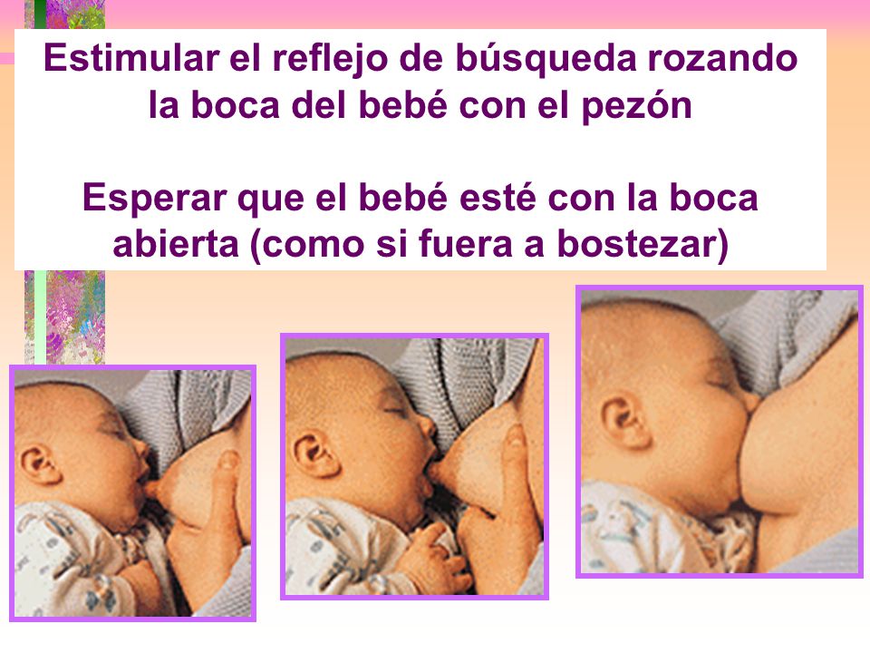 Estimular el reflejo de búsqueda rozando la boca del bebé con el pezón