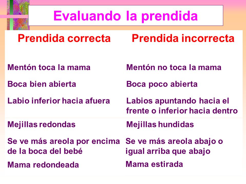 Evaluando la prendida Prendida incorrecta Prendida correcta