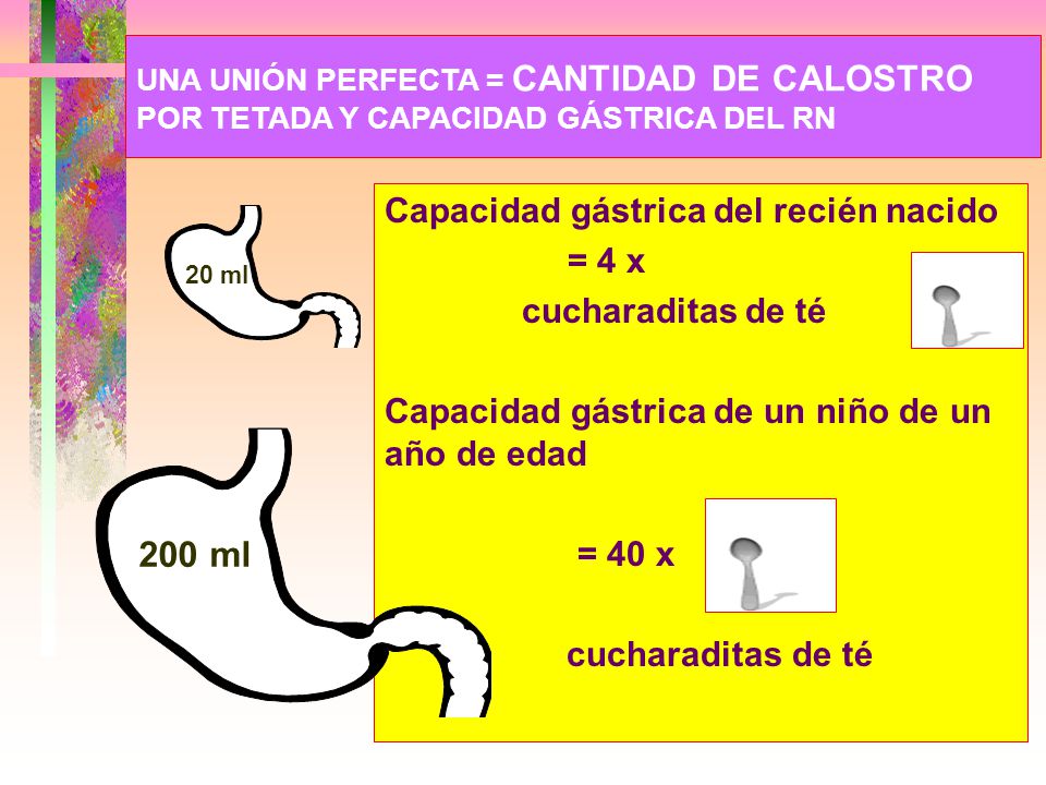 200 ml Capacidad gástrica del recién nacido = 4 x cucharaditas de té