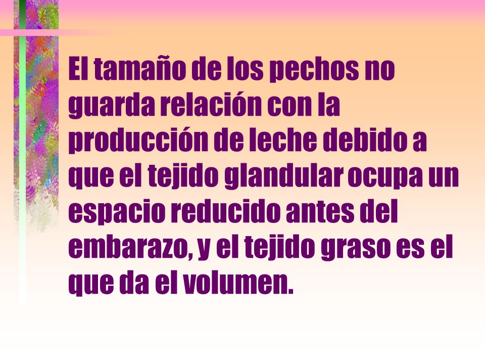 El tamaño de los pechos no guarda relación con la producción de leche debido a que el tejido glandular ocupa un espacio reducido antes del embarazo, y el tejido graso es el que da el volumen.