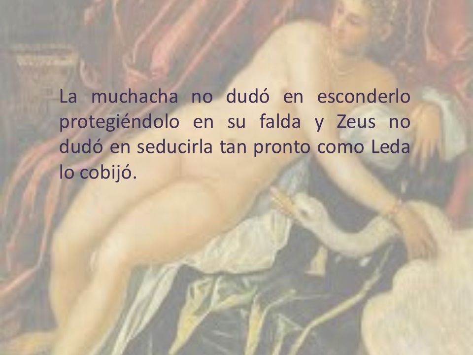 La muchacha no dudó en esconderlo protegiéndolo en su falda y Zeus no dudó en seducirla tan pronto como Leda lo cobijó.