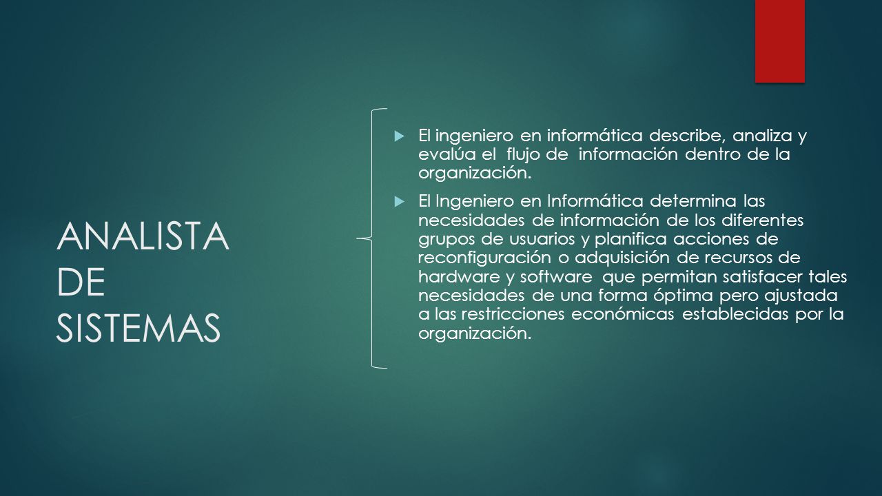 El ingeniero en informática describe, analiza y evalúa el flujo de información dentro de la organización.