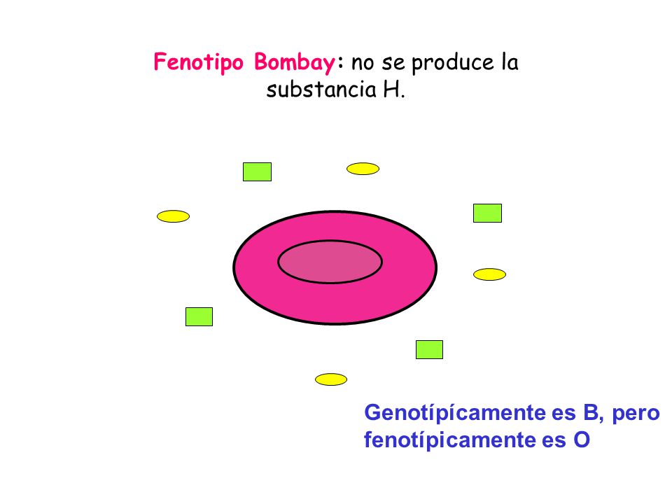 Fenotipo Bombay: no se produce la substancia H.
