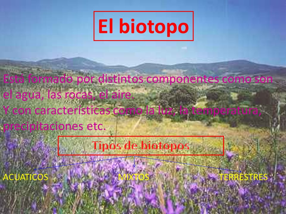El biotopo Está formado por distintos componentes como son el agua, las rocas, el aire.