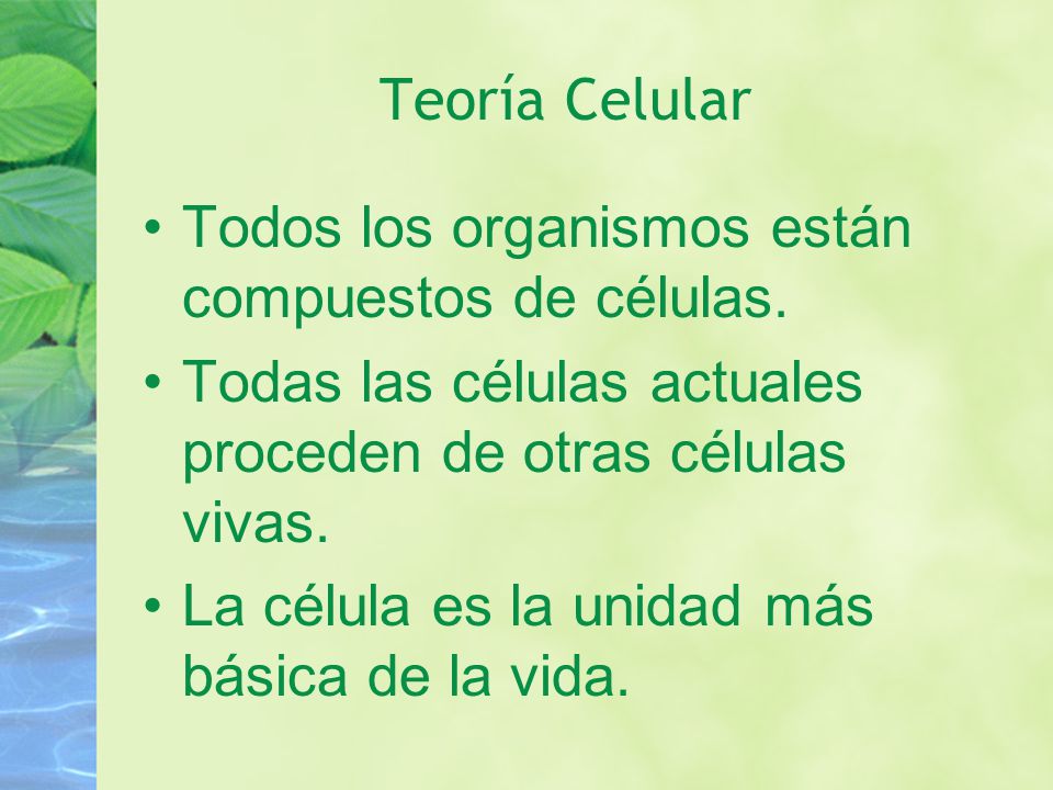Teoría Celular Todos los organismos están compuestos de células. Todas las células actuales proceden de otras células vivas.