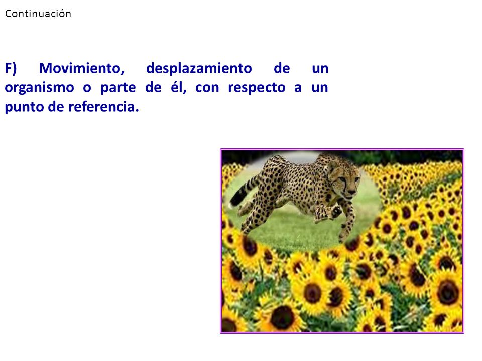 Continuación F) Movimiento, desplazamiento de un organismo o parte de él, con respecto a un punto de referencia.