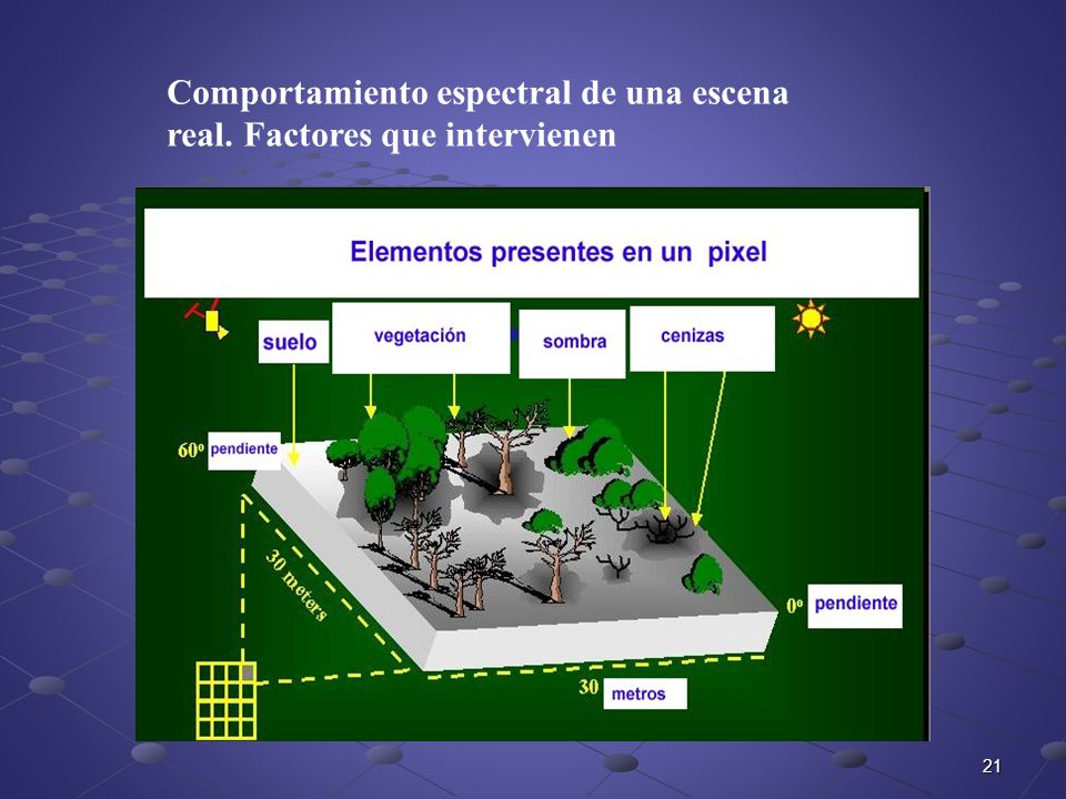 Comportamiento espectral de una escena real. Factores que intervienen