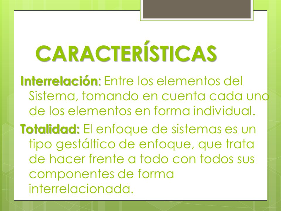 CARACTERÍSTICAS Interrelación: Entre los elementos del Sistema, tomando en cuenta cada uno de los elementos en forma individual.