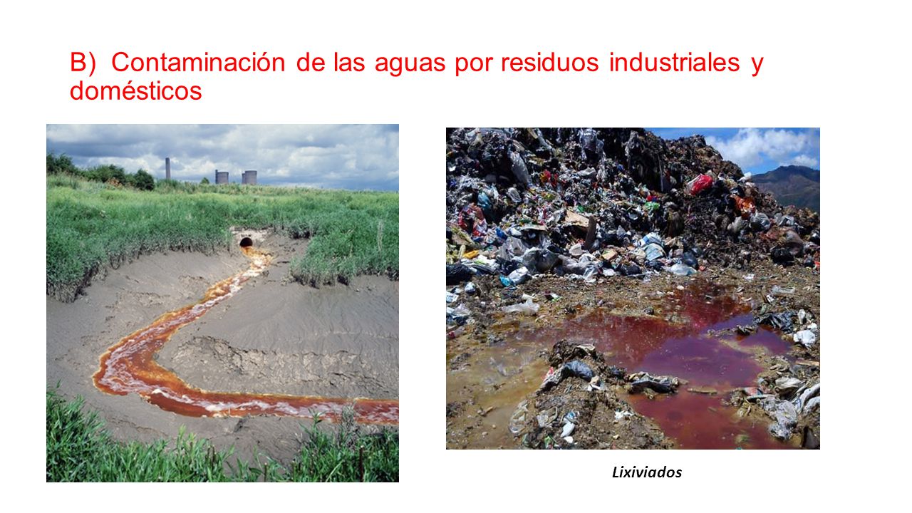B) Contaminación de las aguas por residuos industriales y domésticos