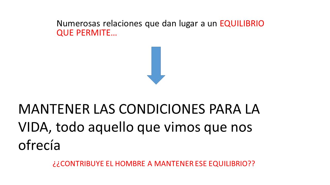 Numerosas relaciones que dan lugar a un EQUILIBRIO QUE PERMITE…