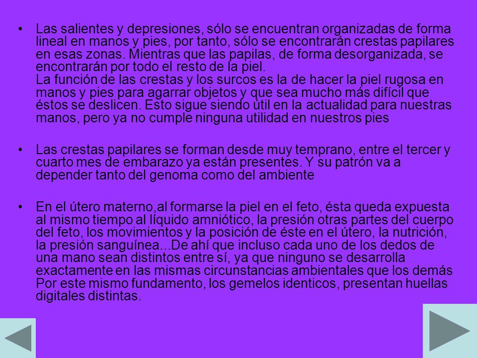 Las salientes y depresiones, sólo se encuentran organizadas de forma lineal en manos y pies, por tanto, sólo se encontrarán crestas papilares en esas zonas. Mientras que las papilas, de forma desorganizada, se encontrarán por todo el resto de la piel. La función de las crestas y los surcos es la de hacer la piel rugosa en manos y pies para agarrar objetos y que sea mucho más difícil que éstos se deslicen. Esto sigue siendo útil en la actualidad para nuestras manos, pero ya no cumple ninguna utilidad en nuestros pies