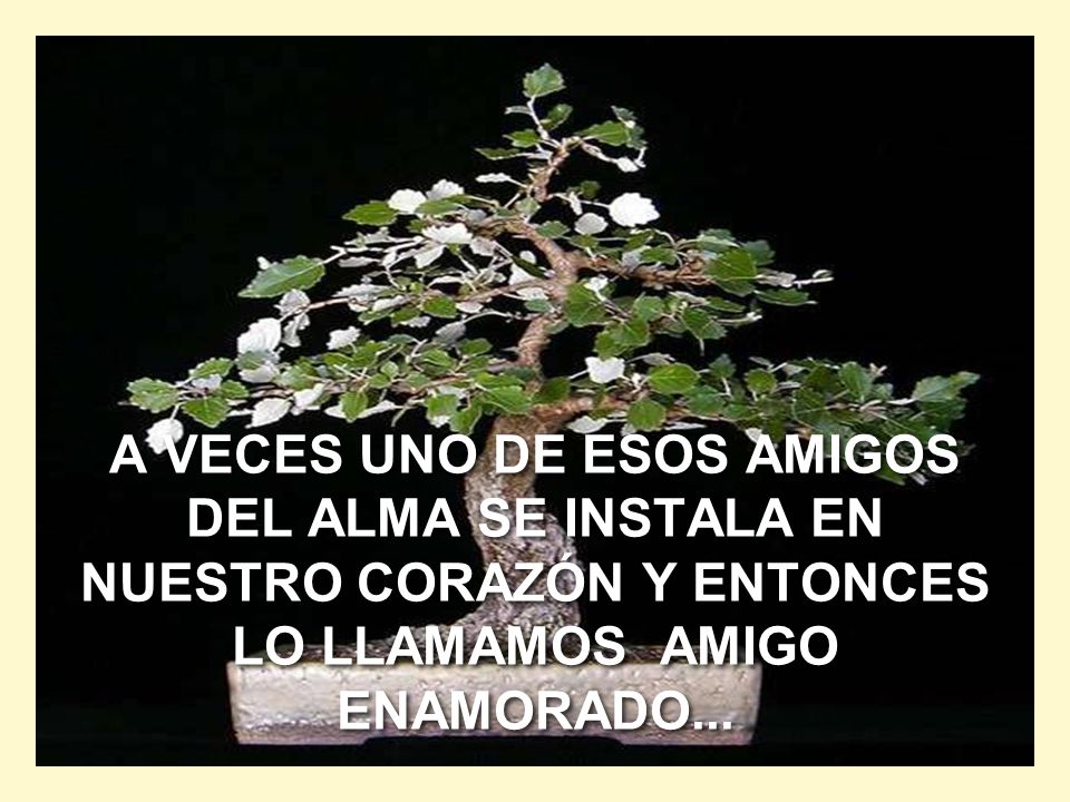 A VECES UNO DE ESOS AMIGOS DEL ALMA SE INSTALA EN NUESTRO CORAZÓN Y ENTONCES LO LLAMAMOS AMIGO ENAMORADO...