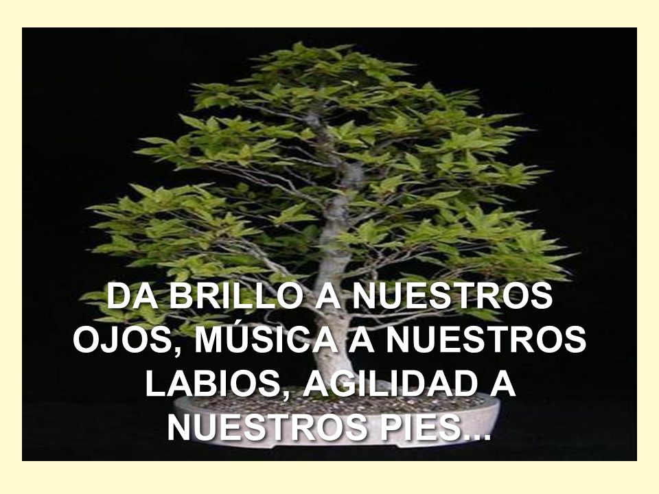 DA BRILLO A NUESTROS OJOS, MÚSICA A NUESTROS LABIOS, AGILIDAD A NUESTROS PIES...