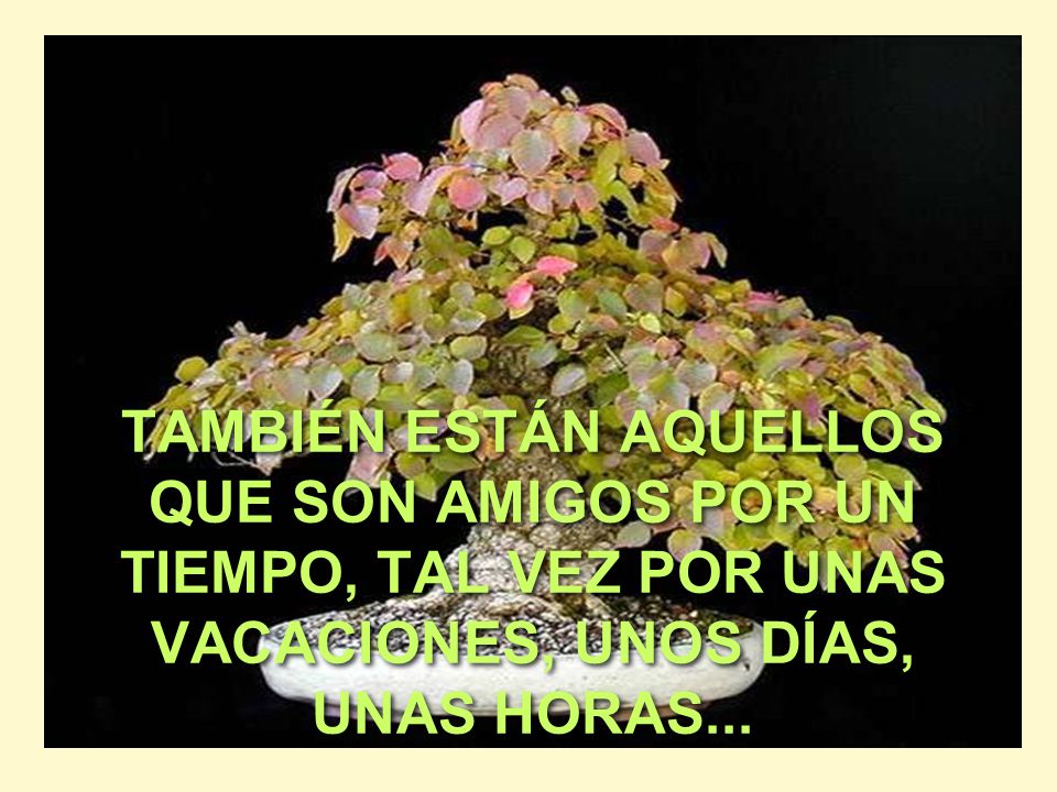 TAMBIÉN ESTÁN AQUELLOS QUE SON AMIGOS POR UN TIEMPO, TAL VEZ POR UNAS VACACIONES, UNOS DÍAS, UNAS HORAS...