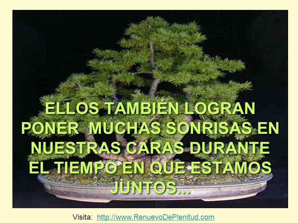 ELLOS TAMBIÉN LOGRAN PONER MUCHAS SONRISAS EN NUESTRAS CARAS DURANTE EL TIEMPO EN QUE ESTAMOS JUNTOS...