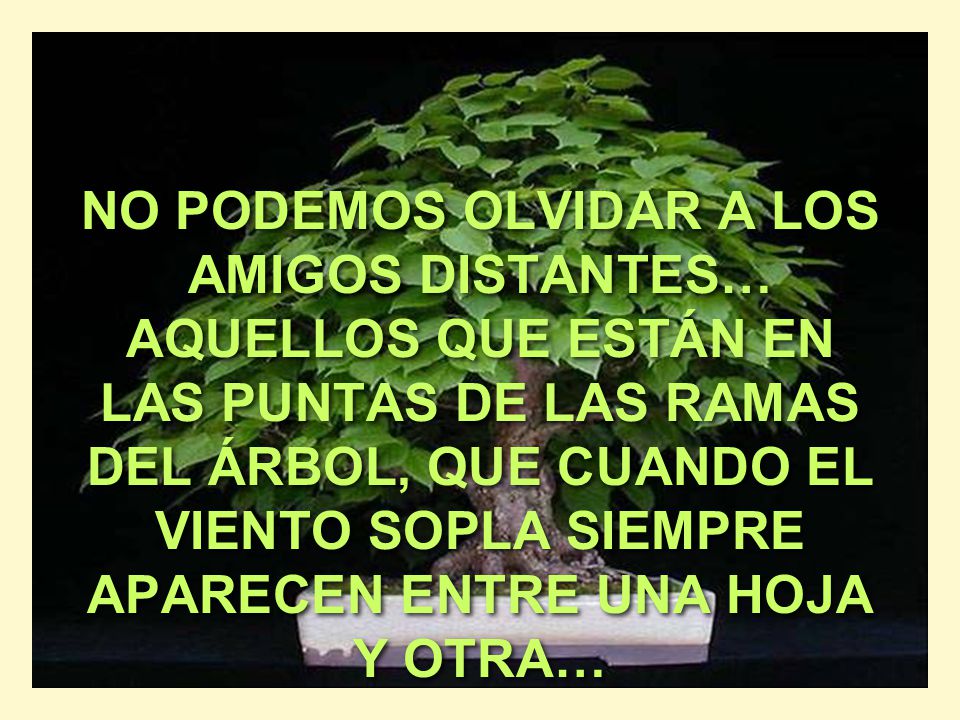 NO PODEMOS OLVIDAR A LOS AMIGOS DISTANTES… AQUELLOS QUE ESTÁN EN LAS PUNTAS DE LAS RAMAS DEL ÁRBOL, QUE CUANDO EL VIENTO SOPLA SIEMPRE APARECEN ENTRE UNA HOJA Y OTRA…