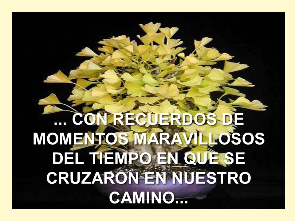 ... CON RECUERDOS DE MOMENTOS MARAVILLOSOS DEL TIEMPO EN QUE SE CRUZARON EN NUESTRO CAMINO...