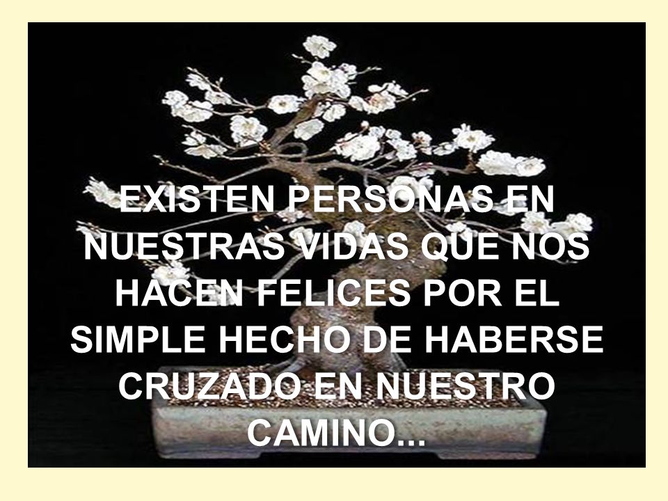 EXISTEN PERSONAS EN NUESTRAS VIDAS QUE NOS HACEN FELICES POR EL SIMPLE HECHO DE HABERSE CRUZADO EN NUESTRO CAMINO...