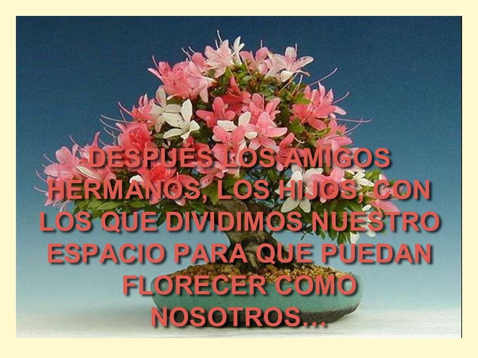 DESPUÉS LOS AMIGOS HERMANOS, LOS HIJOS, CON LOS QUE DIVIDIMOS NUESTRO ESPACIO PARA QUE PUEDAN FLORECER COMO NOSOTROS…