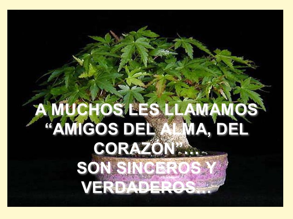 A MUCHOS LES LLAMAMOS AMIGOS DEL ALMA, DEL CORAZÓN … SON SINCEROS Y VERDADEROS…