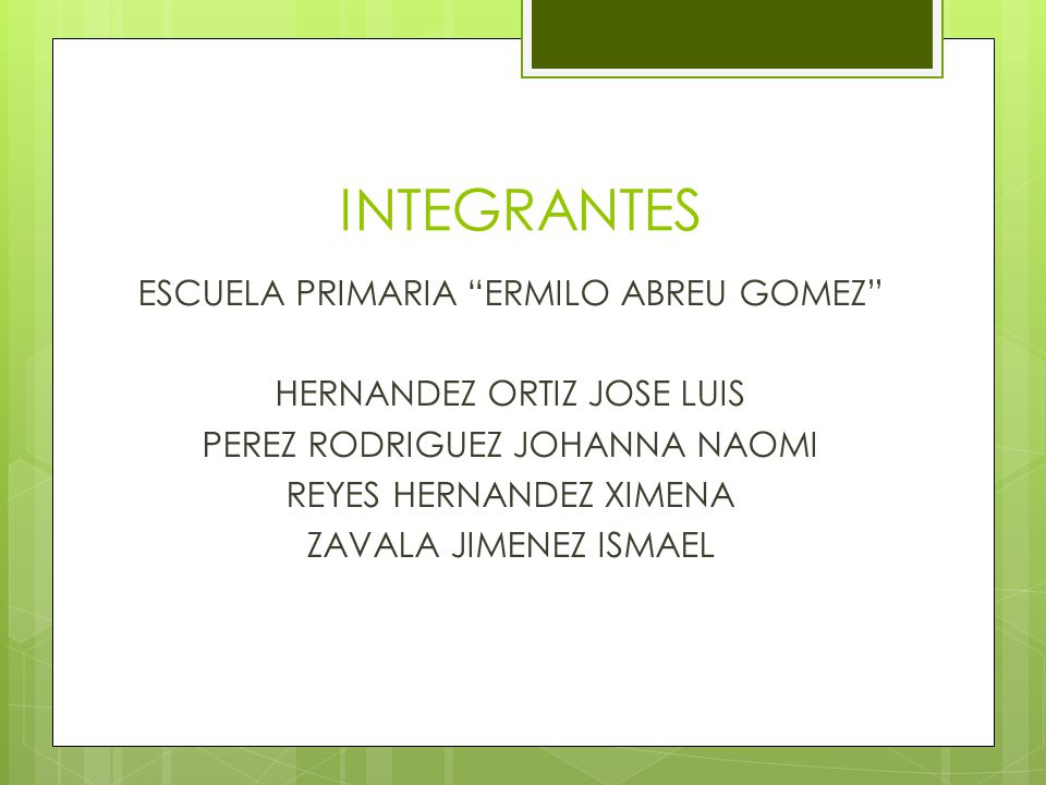 INTEGRANTES