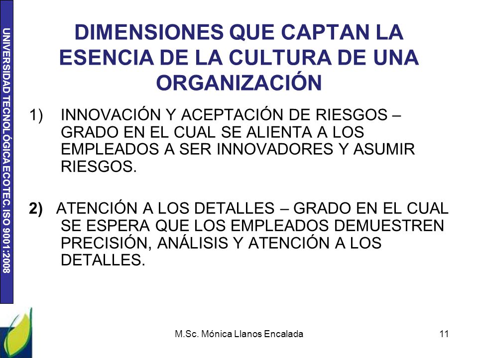 DIMENSIONES QUE CAPTAN LA ESENCIA DE LA CULTURA DE UNA ORGANIZACIÓN