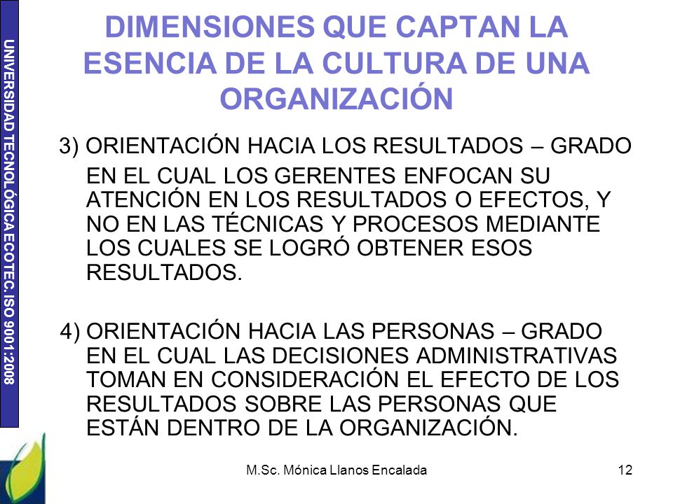 DIMENSIONES QUE CAPTAN LA ESENCIA DE LA CULTURA DE UNA ORGANIZACIÓN