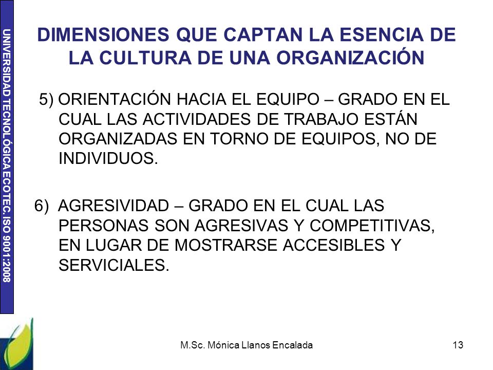 DIMENSIONES QUE CAPTAN LA ESENCIA DE LA CULTURA DE UNA ORGANIZACIÓN
